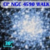 Cl* NGC 4590   WALK     347