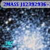 Cl* NGC 4590   WALK     348