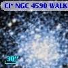 Cl* NGC 4590   WALK     351