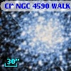 Cl* NGC 4590   WALK     366