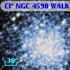 Cl* NGC 4590   WALK     378
