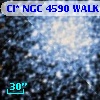 Cl* NGC 4590   WALK     381