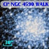 Cl* NGC 4590   WALK     385