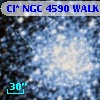 Cl* NGC 4590   WALK     386