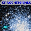Cl* NGC 4590   WALK     387