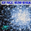 Cl* NGC 4590   WALK     407