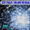 Cl* NGC 4590   WALK     408