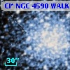 Cl* NGC 4590   WALK     411