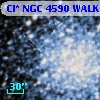 Cl* NGC 4590   WALK     419
