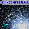 Cl* NGC 4590   WALK     425