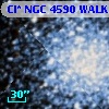 Cl* NGC 4590   WALK     430