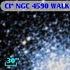 Cl* NGC 4590   WALK     444