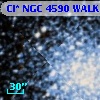 Cl* NGC 4590   WALK     455