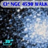 Cl* NGC 4590   WALK     463