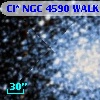 Cl* NGC 4590   WALK     469