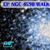 Cl* NGC 4590   WALK     475