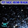 Cl* NGC 4590   WALK     482