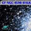Cl* NGC 4590   WALK     485