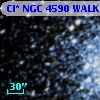 Cl* NGC 4590   WALK     505