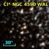 Cl* NGC 4590   WALK     527