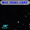 IRAS 20365+5607