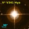 V* V341 Hya