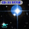 CD-31  9775B