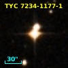 TYC 7234-1177-1