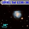 [TP95] Tol 1238-364  49