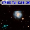 [TP95] Tol 1238-364  52