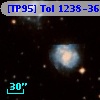[TP95] Tol 1238-364  55