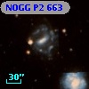 NOGG P2  663