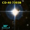 CD-40  7393B