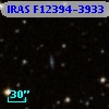IRAS F12394-3933