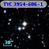 TYC 3954-606-1