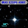 IRAS 12318-4307