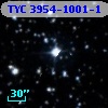 TYC 3954-1001-1