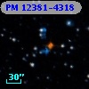 PM 12381-4318