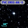 TYC 3955-66-1