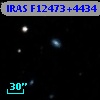 IRAS F12473+4434