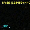 NVSS J125459+440937