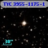 TYC 3955-1175-1