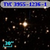 TYC 3955-1236-1
