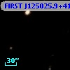 FIRST J125025.9+415208
