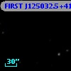 FIRST J125032.5+415544