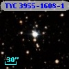 TYC 3955-1608-1