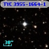 TYC 3955-1664-1