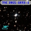 TYC 3955-1893-1