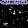 TYC 3955-2129-1