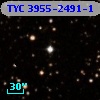 TYC 3955-2491-1